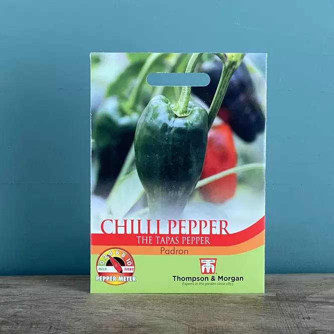 Vegetable Seeds - Chilli Pepper (Padron)
