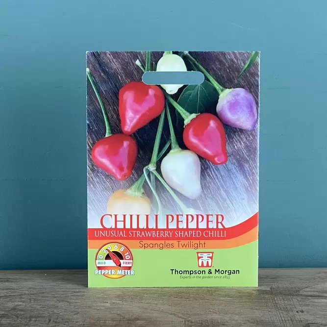 Vegetable Seeds - Chilli Pepper (Spangles Twilight)