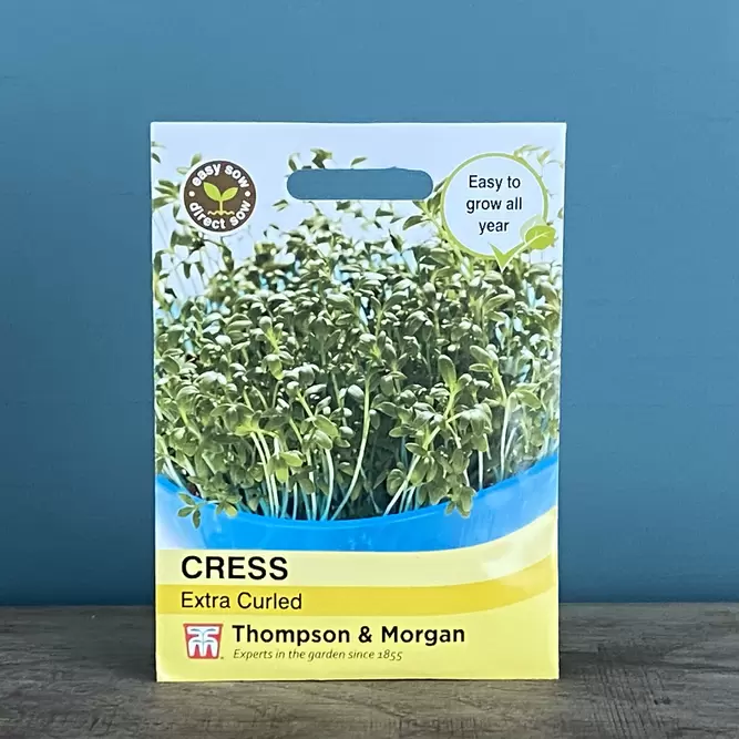 Vegetable Seeds - Cress Extra Curled