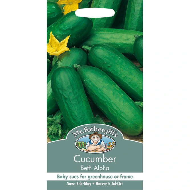 Vegetable Seeds - Cucumber Beth Alpha - image 2