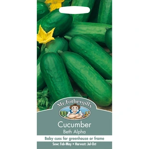 Vegetable Seeds - Cucumber Beth Alpha - image 2