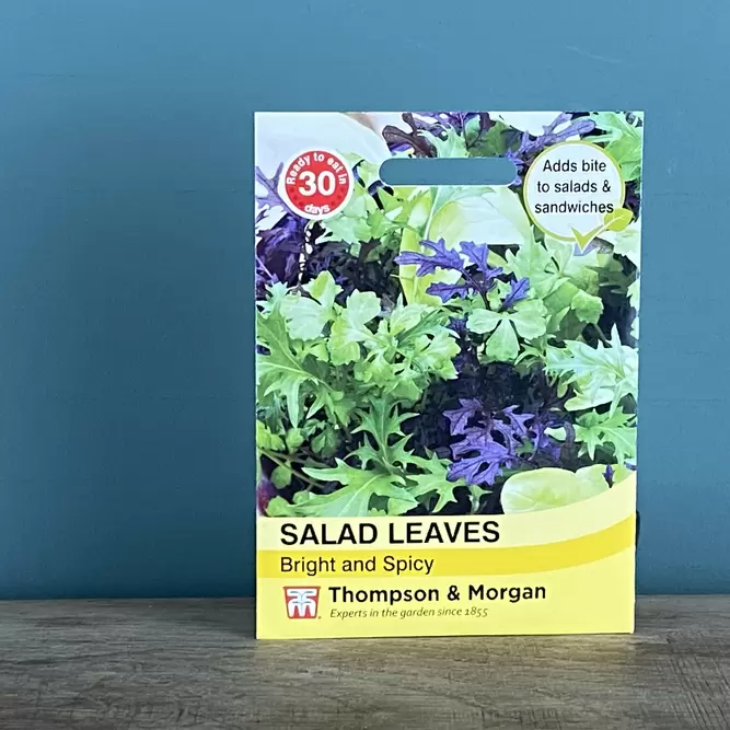 Vegetable Seeds - Salad Leaves Bright & Spicy