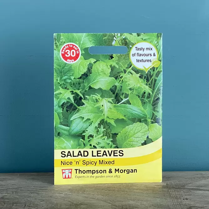 Vegetable Seeds - Salad Leaves Nice Spicy Mixed