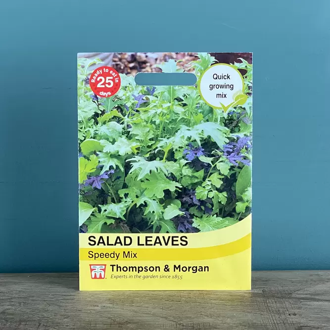 Vegetable Seeds - Salad Leaves Speedy Mix