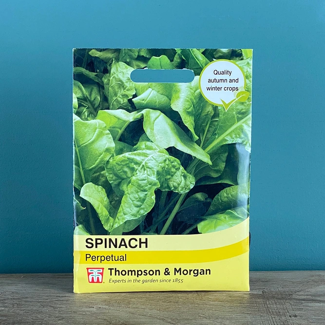Vegetable Seeds - Spinach Perpetual - image 2