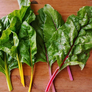 Vegetable Seeds - Swiss Chard Bright Lights - image 1