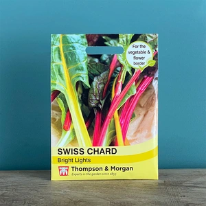 Vegetable Seeds - Swiss Chard Bright Lights - image 2