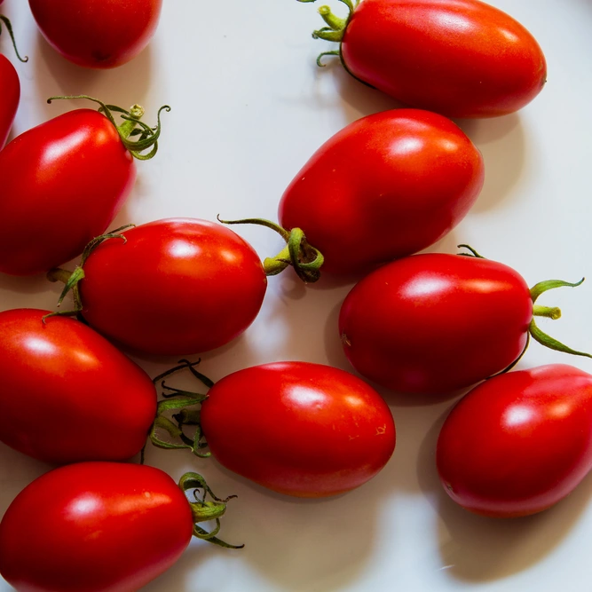 Vegetable Seeds - Tomato Baby Plum Piccolo - image 1