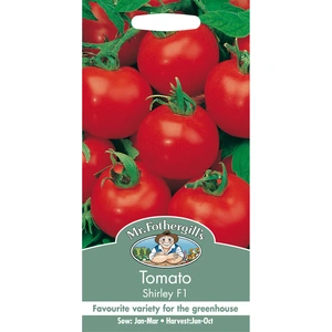 Vegetable Seeds - Tomato Shirley F1 - image 2