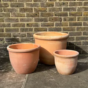 Whitewash Bowl Rim (D30xH25cm) Terracotta Planter