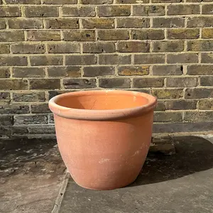 Whitewash Bowl Rim (D30xH25cm) Terracotta Planter - image 3