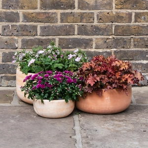 Whitewash Terracotta Handmade Bowl Planter (D23cm x H10cm) Outdoor Plant Pot - image 5