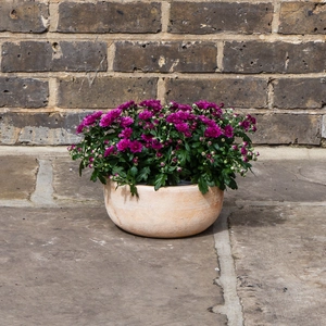 Whitewash Terracotta Handmade Bowl Planter (D23cm x H10cm) Outdoor Plant Pot - image 3