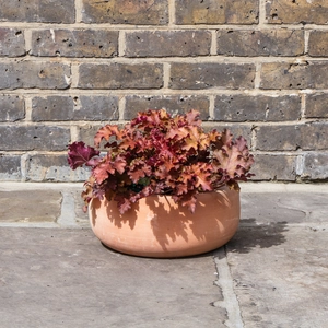Whitewash Terracotta Handmade Bowl Planter (D33cm x H15cm) Outdoor Plant Pots - image 3