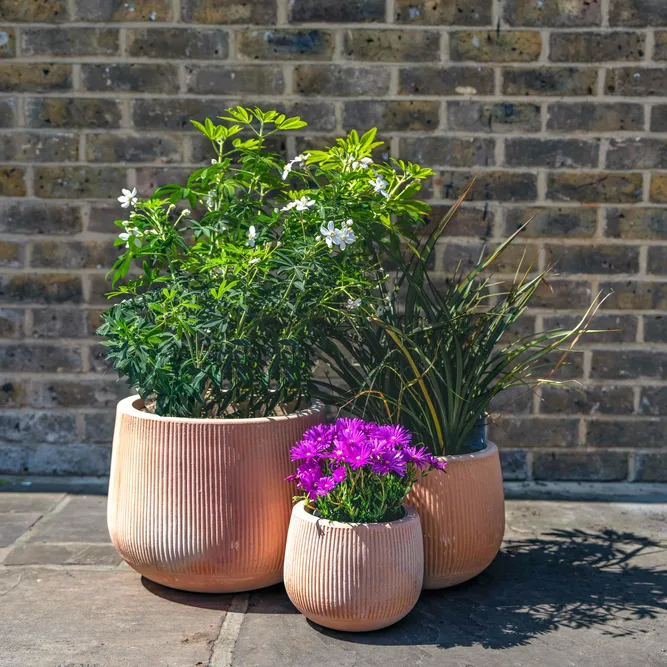 Whitewash Terracotta Cauldron Rib Planter (D40cm x H32cm) Handmade Outdoor Plant Pot - image 2