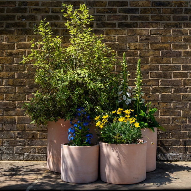 Whitewash Terracotta Cylinder Planter (D30cm x H28cm) Handmade Outdoor Plant Pot - image 2