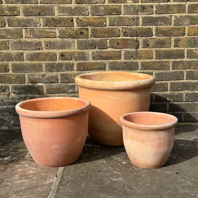 Whitewash Terracotta Egg Rim (D30xH25cm) Handmade Outdoor Plant Pot - image 1