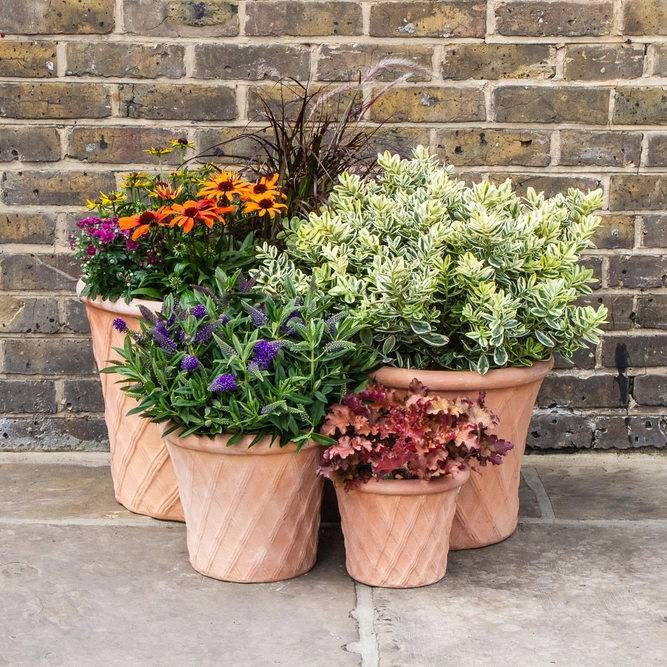 Whitewash Terracotta Handmade Basketweave Planter (D30cm x H25cm) Outdoor Plant Pot - image 5