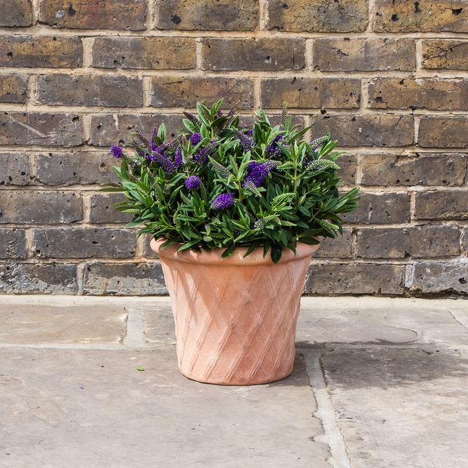 Whitewash Terracotta Handmade Basketweave Planter (D30cm x H25cm) Outdoor Plant Pot - image 3