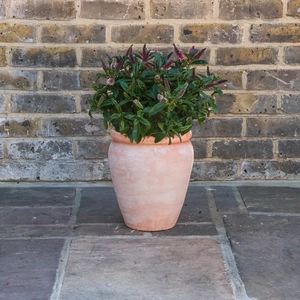 Whitewash Terracotta Handmade Belly Rim Stretched Planter (D25cm x H30cm) Outdoor Plant Pot - image 3