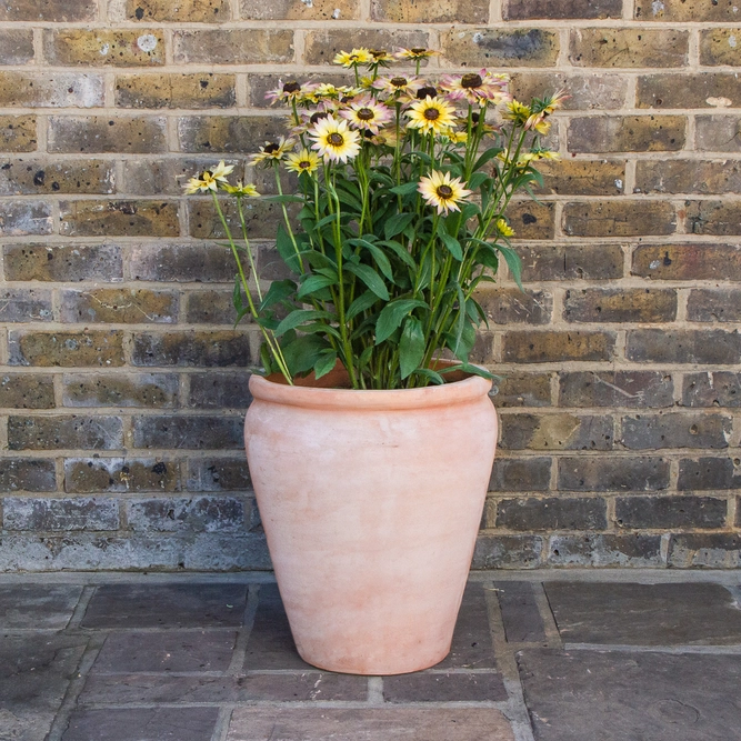 Whitewash Terracotta Handmade Belly Rim Stretched Planter (D42cm x H47cm) Outdoor Plant Pot - image 3