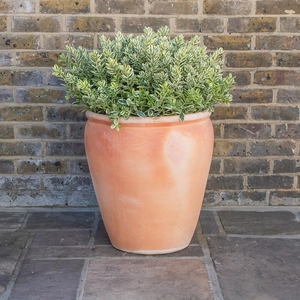 Whitewash Terracotta Handmade Belly Rim Stretched Planter (D50cm x H55cm)  Outdoor Plant Pot - image 3