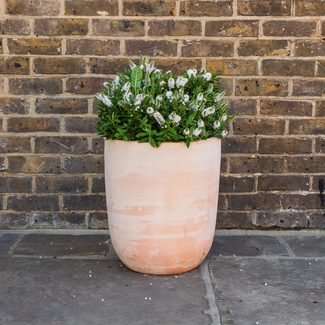 Whitewash Terracotta Handmade Bullet Planter (D41cm x 47cm) Outdoor Plant Pot - image 7