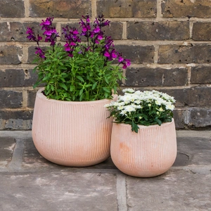 Whitewash Terracotta Handmade Cauldron Rib Planter (D20cm x H17cm) Outdoor Plant Pot - image 5