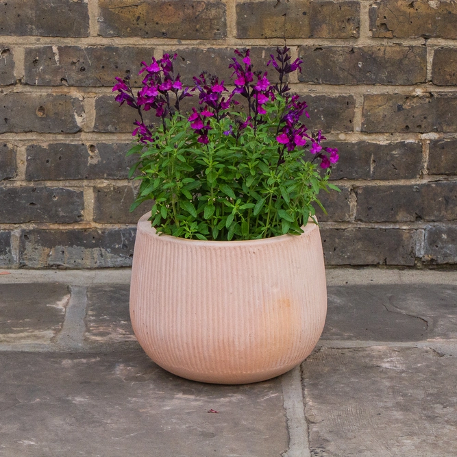 Whitewash Terracotta Handmade Cauldron Rib Planter (D28cm x H23cm) Outdoor Plant Pot - image 3