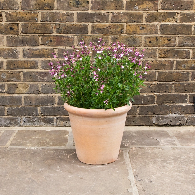 Whitewash Terracotta Handmade Coni Lip Planter (D38m x H33cm) Outdoor Plant Pot - image 4