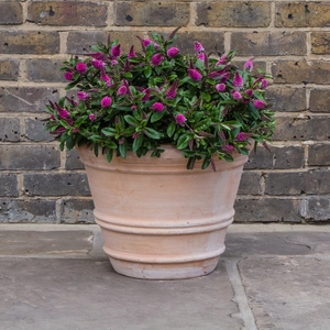 Whitewash Terracotta Handmade Coni Planter (Pot Size D43cm x H33cm) Outdoor Plant Pot - image 3