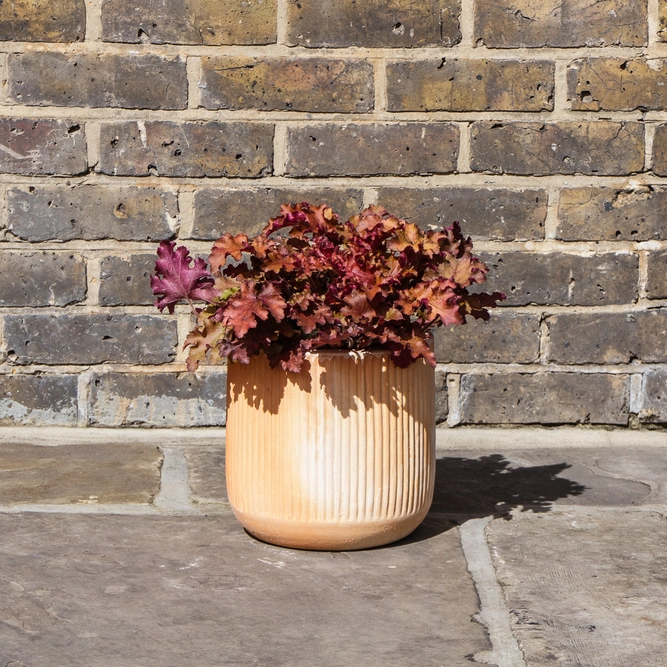 Whitewash Terracotta Handmade Cylinder Rib Planter (D22cm x H24cm) Outdoor Plant Pot - image 3