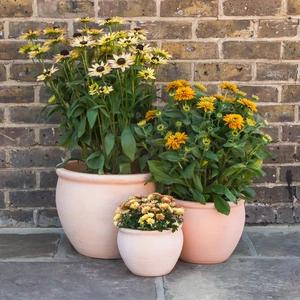 Whitewash Terracotta Handmade Delta Rim Planter (D21 x H16cm) Outdoor Plant Pot - image 5