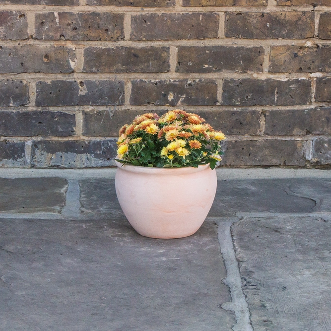 Whitewash Terracotta Handmade Delta Rim Planter (D21 x H16cm) Outdoor Plant Pot - image 3