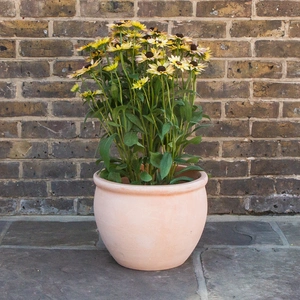 Whitewash Terracotta Handmade Delta Rim Planter (D38cm x H30cm) Outdoor Plant Pot - image 3