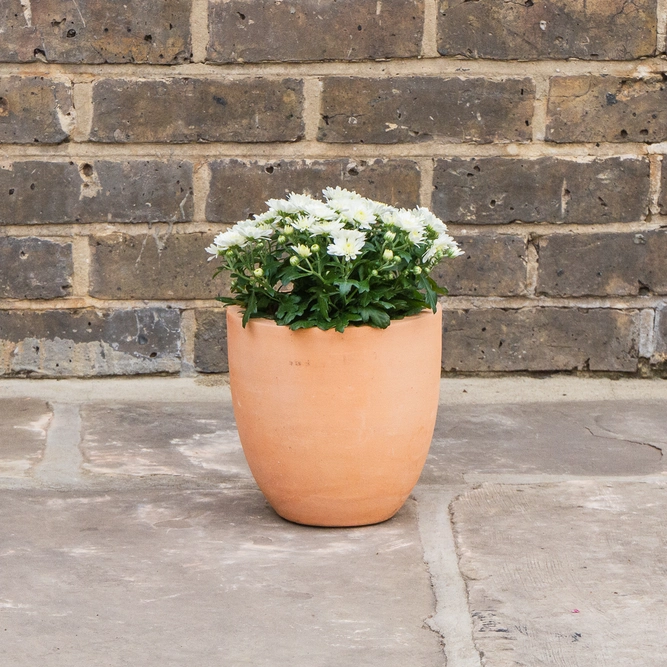 Whitewash Terracotta Handmade Lotus Planter (Pot Size D18cm x H18cm) Outdoor Plant Pot - image 2