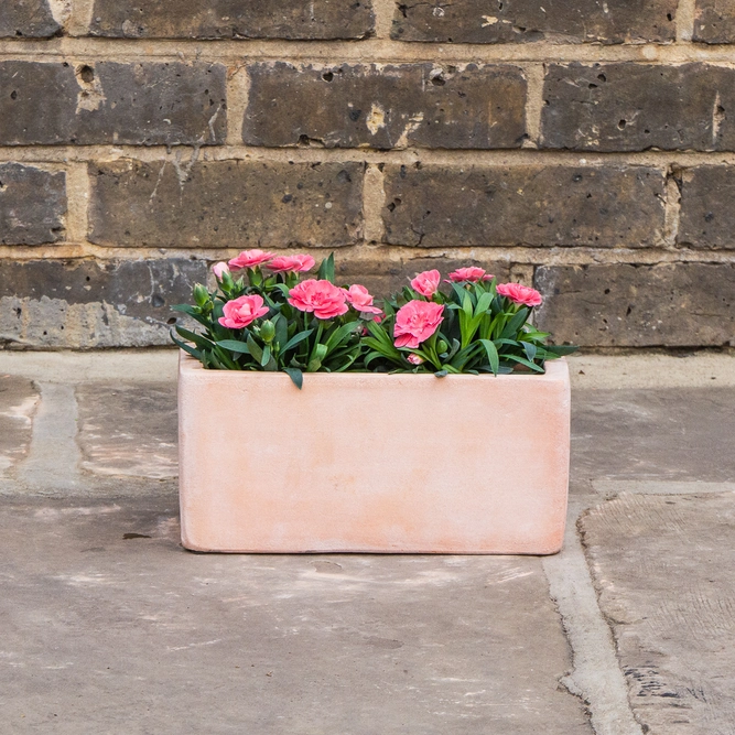 Whitewash Terracotta Handmade Outdoor Trough Planter (Pot size D25cm x H12cm) Outdoor Plant Pot - image 3