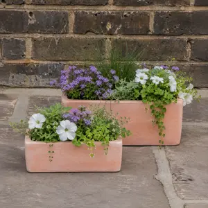 Whitewash Terracotta Handmade Outdoor Window Box (Pot size W25cm x H12cm) Outdoor Plant Pot - image 4