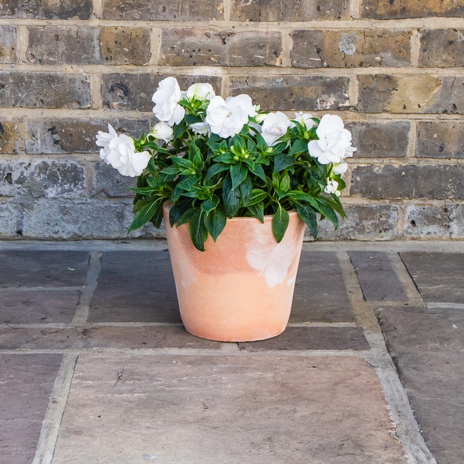 Whitewash Terracotta Handmade Plain Coni Planter (D22cm x H20cm) Outdoor Plant Pot - image 3