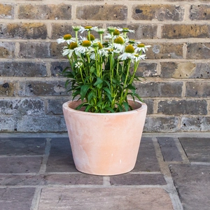 Whitewash Terracotta Handmade Plain Coni Planter (D31cm x H24cm) Outdoor Plant Pot - image 3