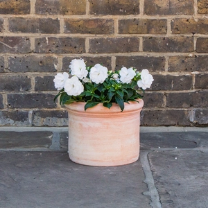 Whitewash Terracotta Handmade Plain Cylinder Planter (D30cm x 22cm) Outdoor Plant Pot - image 3