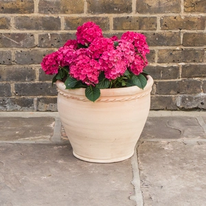 Whitewash Terracotta Handmade Stan Cherry Rope Planter (D32cmxH28cm) Outdoor Plant Pot - image 3