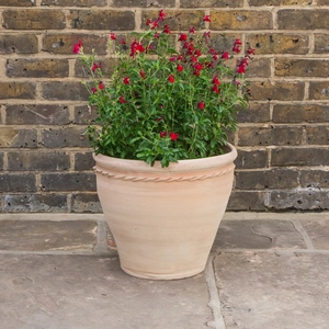 Whitewash Terracotta Handmade Stan Cherry Rope Planter (D38cmxH33cm) Outdoor Plant Pot - image 3