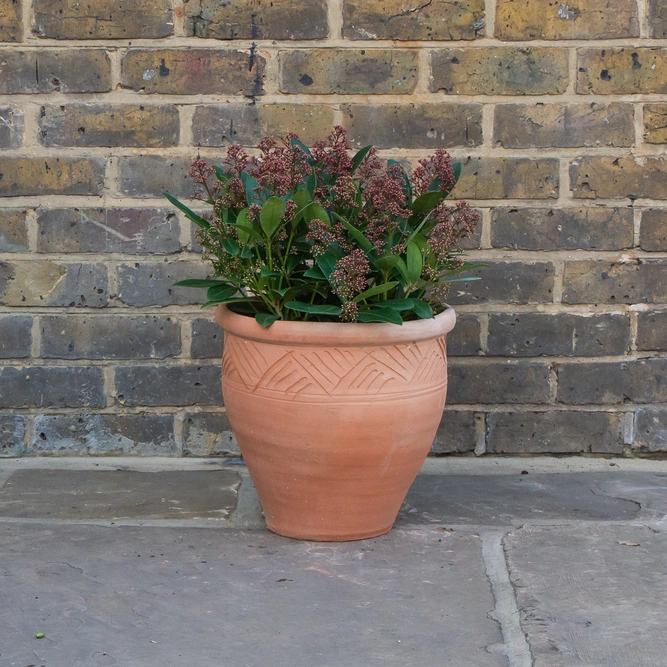 Whitewash Terracotta Handmade Stan Etched Planter (D32cm x H38cm) Outdoor Plant Pot - image 3