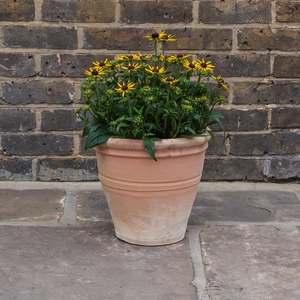 Whitewash Terracotta Handmade Stan RIng Planter (D30cm x H29cm) Outdoor Plant Pot - image 3