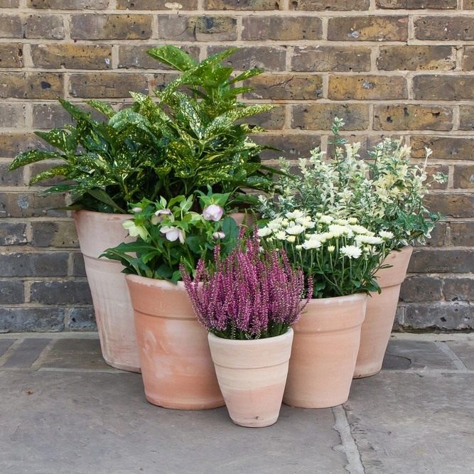 Whitewash Terracotta Handmade Stan Wide Planter  (D19cm x H20cm) Outdoor Plant Pot - image 5