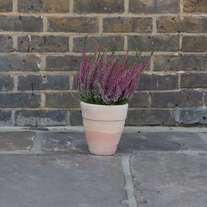Whitewash Terracotta Handmade Stan Wide Planter  (D19cm x H20cm) Outdoor Plant Pot - image 3