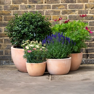 Whitewash Terracotta Egg Low Planter (D23cm x H16cm) Handmade Outdoor Plant Pot - image 2