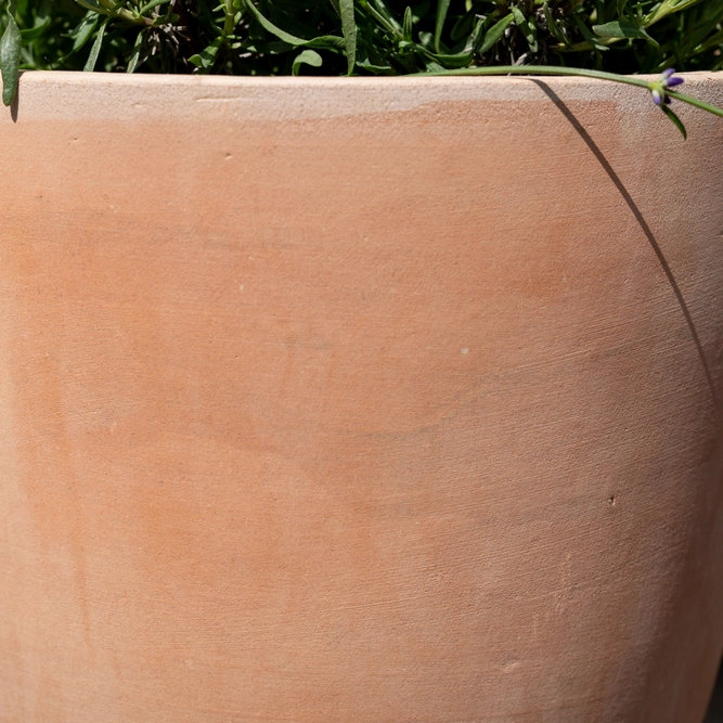 Whitewash Terracotta Egg Low Planter (D23cm x H16cm) Handmade Outdoor Plant Pot - image 3