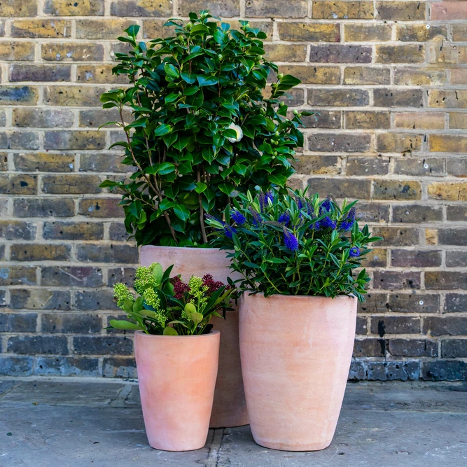 Whitewash Terracotta Planter - Colburn (D43xH48cm) Handmade Outdoor Pot - image 3
